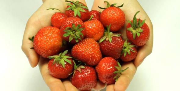 Female Hands With Strawberries