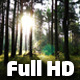 Sun Over The Trees Time Lapse 1 - VideoHive Item for Sale