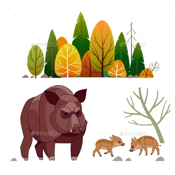 Family of Wild Boar Sus Scrofa with Adult Hairy