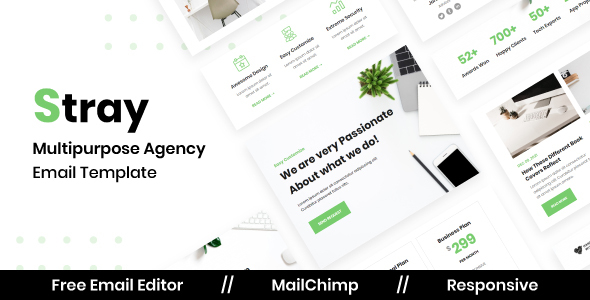 Stray Agency - Multipurpose Responsive Email Template