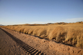 Tire tracks in Namibia - PhotoDune Item for Sale