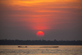 Panoramic view of the sunset and floating dead tree on the Lake Maracaibo, Venezuela - PhotoDune Item for Sale
