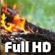 Campfire 4 - VideoHive Item for Sale
