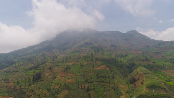 Tropical Landscape with Farmlands in Mountains