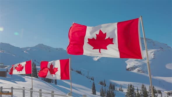 Canadian Flag with a Winter Mountain Landscape in the Background