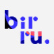 Birru - Simple Portfolio Elementor Template Kit - ThemeForest Item for Sale