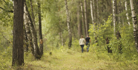 Man And Woman Walks In The Woods