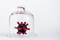 Virus toy under glass - PhotoDune Item for Sale