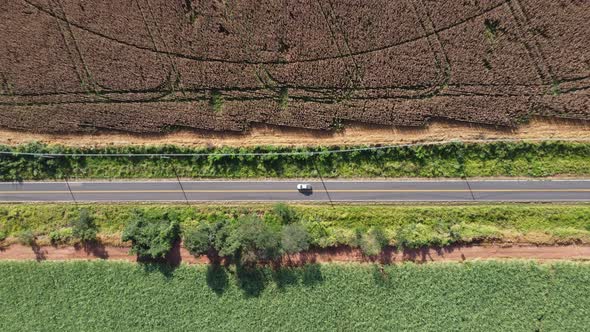 Rural road near farming landscape. Countryside rural scenery.