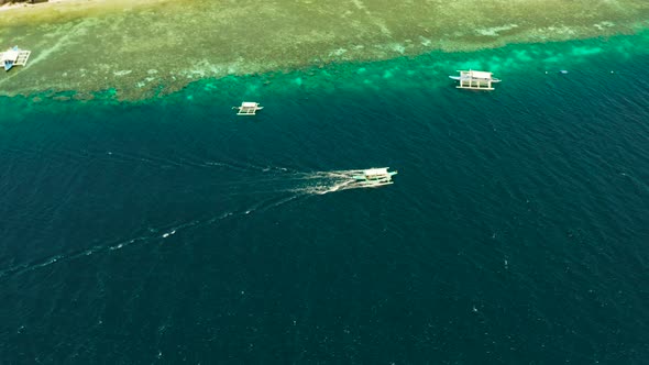 Coral Reef with Turquoise Water Moalboal Philippines