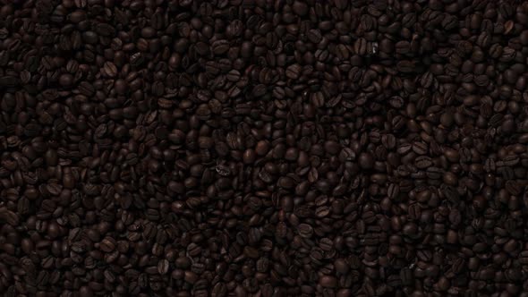 Mediumsized Coffee Seeds