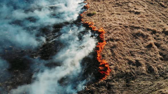 Epic Aerial View of Smoking Wild Fire