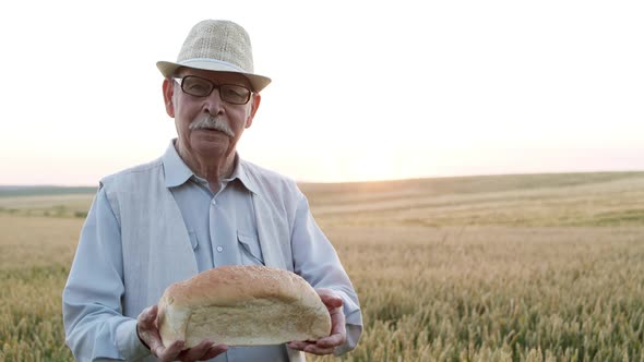 Senior Man Presents a Loaf of Bread and Talks with Smile at the Camera in Field