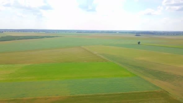 Beautiful Young Cereal Fields in  Aerial Footage