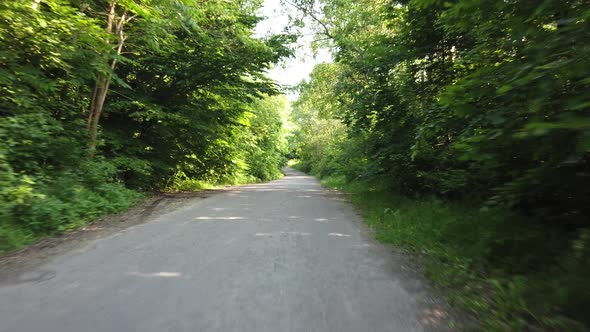 The car moving along the forest.