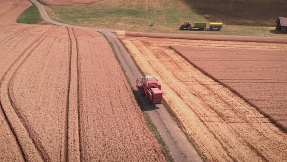 Harvesting of wheat in summer