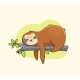 Funny Colorful Sloth Sleeps on the Branch - GraphicRiver Item for Sale