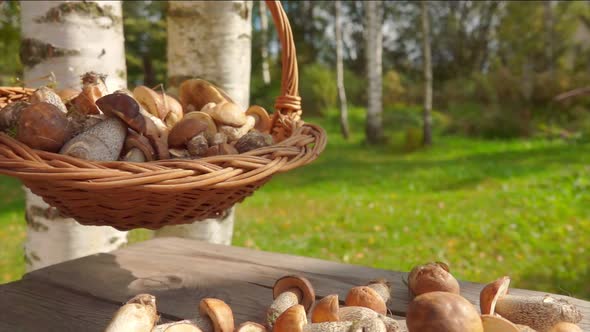 Basket Full of Mushrooms Placed on a Wooden Table