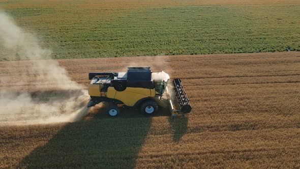 Harvester Combine Working in the Field