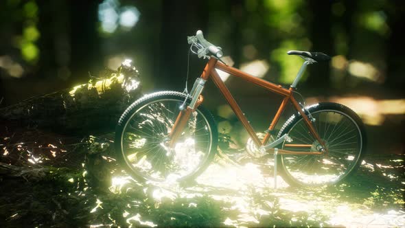 Mountain Bike on the Forest Path alt