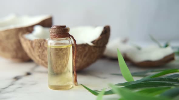 Slice of Fresh Coconut and Bottle of Oil on a Table