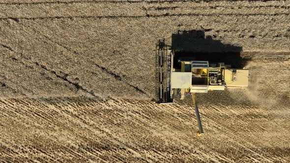 Combine Harvester Agriculture Farm Land Grain Harvest Machinery in Golden Colored Field Farming