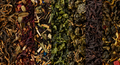Collage of  tea leaves - PhotoDune Item for Sale