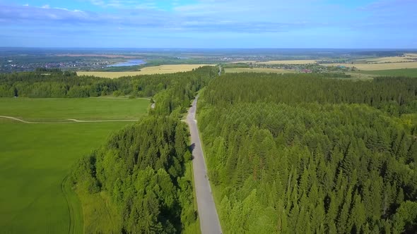 A bird's-eye view of the forest with the road