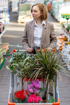 opping trolley choosing and buying plants for her home/apartment in greenhouse or garden center.