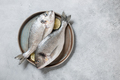 Fresh dorado fish on ceramic plate for cooking - PhotoDune Item for Sale