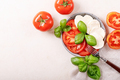 Mozzarella salad over white texture background - PhotoDune Item for Sale