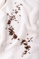Freshly dryed clove spice - PhotoDune Item for Sale