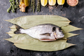 Raw uncooked fresh gutted sea bream or dorado fish - PhotoDune Item for Sale