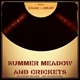Summer Meadow And Crickets