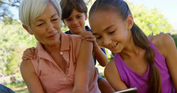 Grandmother and grand kids using mobile phone in the park 4k