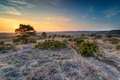 Sunset over the heath at WInfrith - PhotoDune Item for Sale
