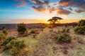Stunning sunset over Bratley View in the New Forest - PhotoDune Item for Sale
