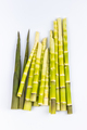 fresh little bamboo shoots isolated - PhotoDune Item for Sale