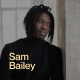Sam Bailey - Personal CV/Resume WordPress Theme - ThemeForest Item for Sale