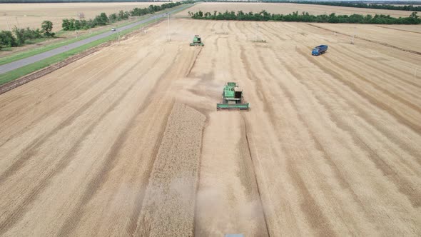 Aerial View of Harvester Machines Working in Wheat Field