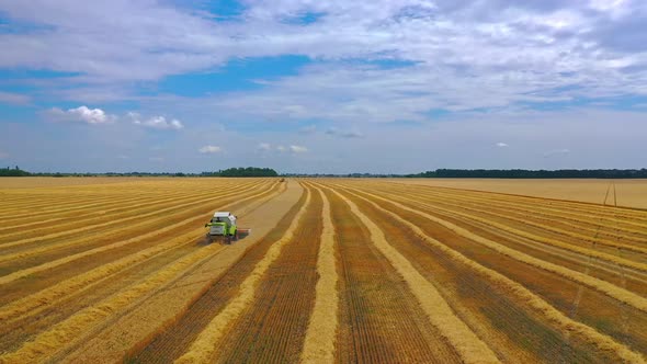 Grain harvesting combine in a sunny day.