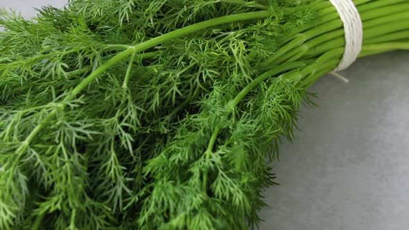 Fresh bunch of healthy raw green dill weed close up 