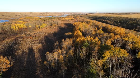 Autumn forest in Central Alberta during fall season seen by aerial drone view. 4K aerial footage of