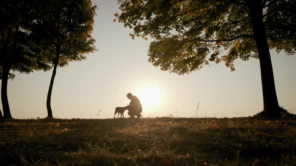 Against the Background of the Bright Orange Sunset Sky Silhouettes of a Man Walking with a Dog