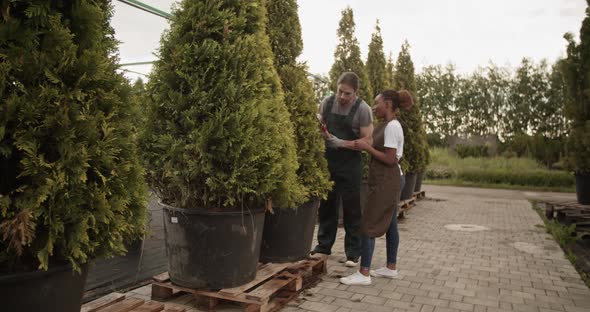 Man Teaching Woman to Trim Trees