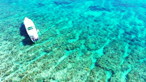 Aerial abstract of exotic resort beach wildlife by blue sea and white sand background of a dayout ne