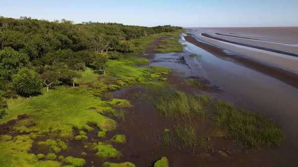 Aerial along swamp and sand banks by Rio de la Plata, backward motion