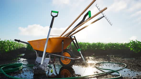 Garden tools gathered around a wheelbarrow in a beautiful, lush field. 4KHD