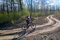Cycling in the spring forest - PhotoDune Item for Sale