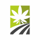 Cannabis Logo - GraphicRiver Item for Sale